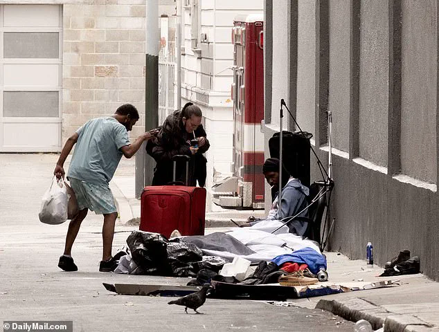 San Francisco's Downtown Decline: The Hidden Role of Limited Access to Information