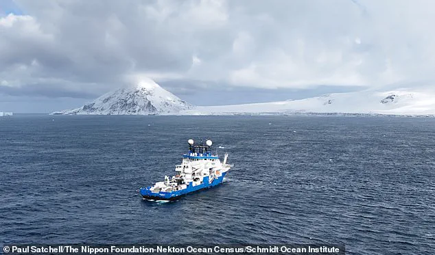 Scientists Baffled by 'Carnivorous Death Ball' Discovery in Antarctic Deep Sea: 'A Gruesome Masterpiece of Evolution'