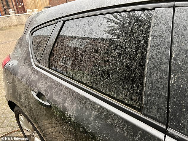 Scientists Warn of 'Blood Rain' as Saharan Dust Approaches UK