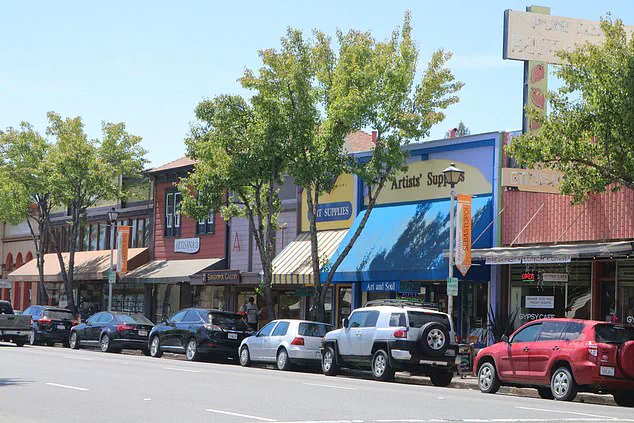 Sebastopol's Quaint Charm Faces Controversy Over Recent Development