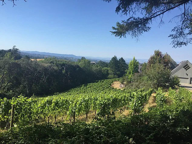 Sebastopol's Quaint Charm Faces Controversy Over Recent Development