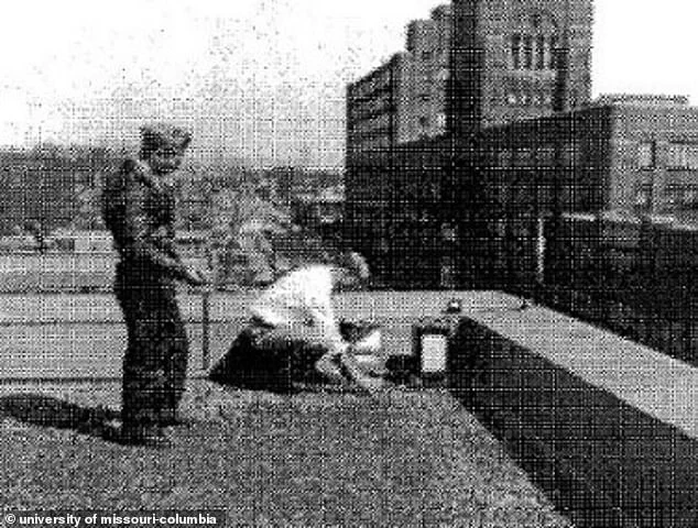 Secret Cold War Chemical Tests: Decades of Health Risks and Community Distrust Revealed