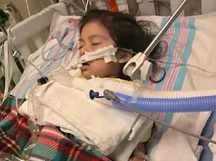 Severe Blood Shortage in America: 35% Decline in Supplies Sparks Urgent Red Cross Appeal Amid Winter Storm Threat