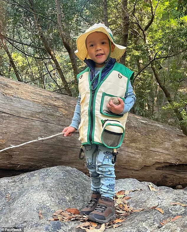 Six-Year-Old Boy Struck by Female Driver While Biking with Father in San Diego's Pacific Beach Neighborhood