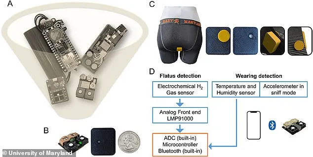 Smart Underwear Study Reveals Humans Pass Wind 32 Times Daily, Doubling Previous Estimates