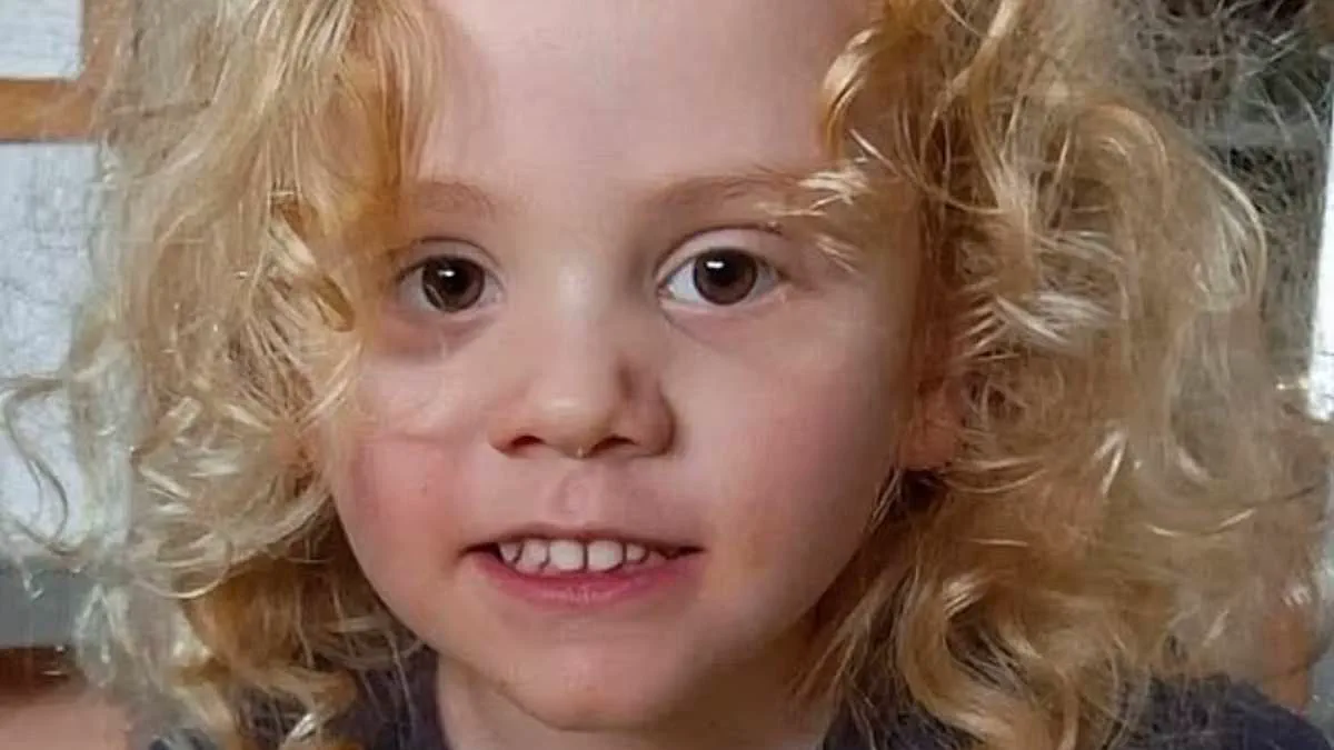 South Australian Police Identify Suspect in Disappearance of Four-Year-Old Gus Lamont, Ruling Out Abduction and Outback Theories