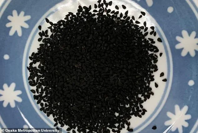 Study Reveals Black Cumin's Potential in Weight Management and Metabolic Health