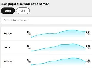 Study Reveals Global Shift: Traditional Names Fade in Favor of Uniqueness