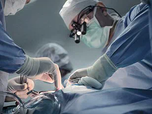 Study Reveals Medical Drama 'The Pitt' Inspired Surge in Organ Donation Sign-Ups