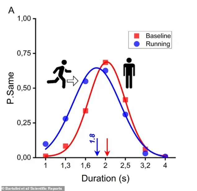Study Reveals Running Alters Time Perception During Exercise