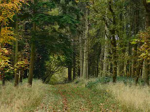 Study Reveals Stark Environmental and Social Divide in Northern England's Air Quality Disparities