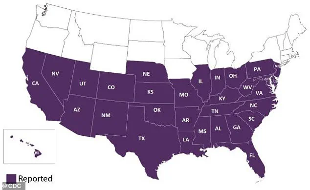 Surge in Parasite-Carrying 'Kissing Bugs' Along U.S.-Mexico Border Sparks Public Health Concern Over Chagas Disease, Warn Researchers
