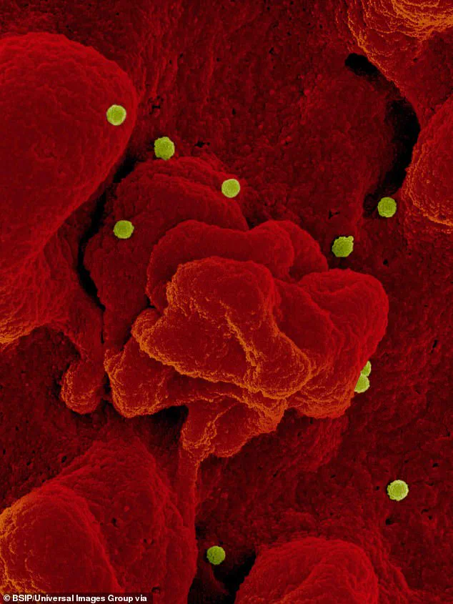 Suspected Exposure to Crimean-Congo Hemorrhagic Fever Virus Sparks High-Level Investigation at Rocky Mountain Laboratories