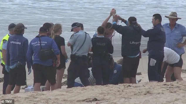 Sydney Beaches on Lockdown After Three Shark Attacks in 26 Hours, as Community Reels from 'Unprecedented' Crisis
