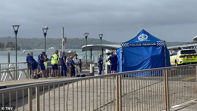 Sydney Beaches on Lockdown After Three Shark Attacks in 26 Hours, as Community Reels from 'Unprecedented' Crisis