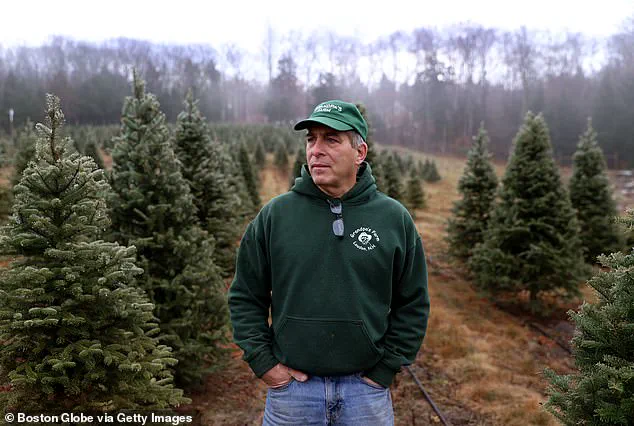 Tariffs Take Toll on Holiday Spending as Trump's Policies Ripple Through Communities