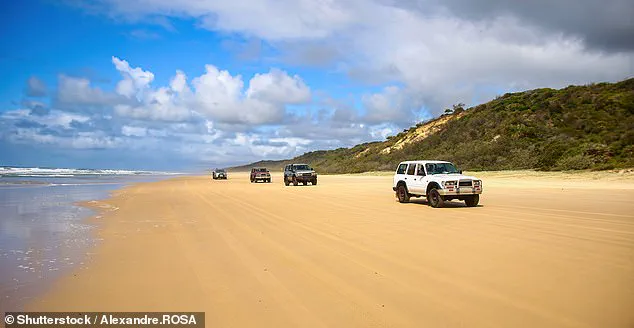 Teen's Tragic Death on Fraser Island Sparks Debate Over Human-Wildlife Encounters