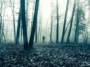 The Disappearance of the Ship Le Griffon in 1679 Near Lake Michigan's Green Bay: A Great Lakes Mystery