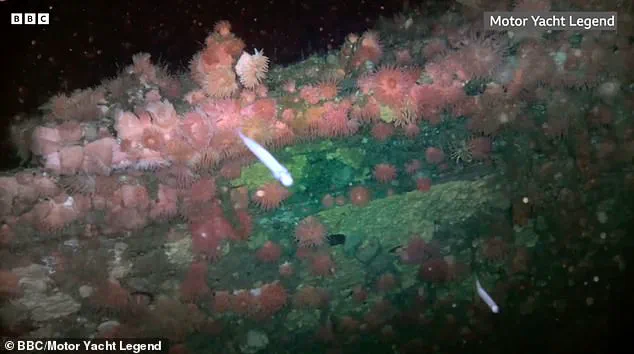 The Forbidden Wreck: Exclusive Access to the SS Terra Nova's Antarctic Secrets