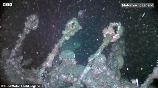 The Forbidden Wreck: Exclusive Access to the SS Terra Nova's Antarctic Secrets