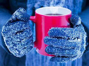 The Great Autumn Duvet Divide: A Battle of Preferences or a Cry for Compromise?