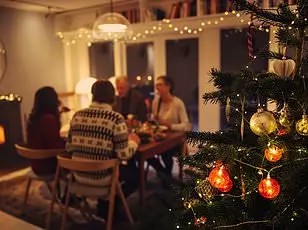 The Hidden Emotional Minefield of the Holiday Season: How Family Reunions Resurface Childhood Conflicts