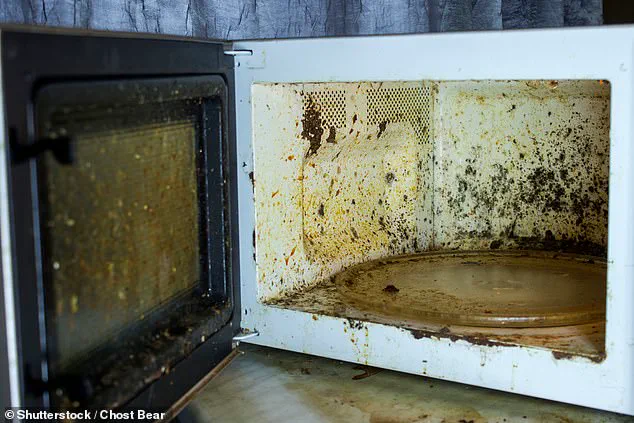 The Hidden Hazards of Daily Microwave Use: What You Need to Know