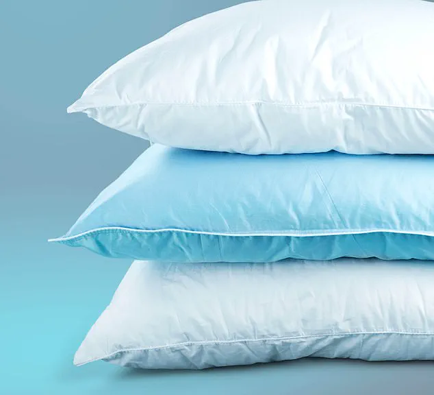 The Hidden World of Microbes and Mites in Your Bed: How They Affect Your Sleep Quality