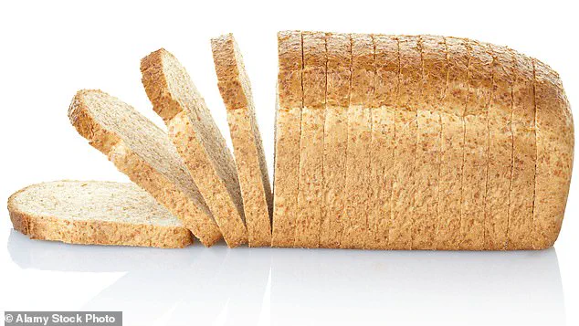 The Rise of Fermented Foods and the Science Behind Gut Health: A Cultural and Scientific Shift in Public Well-Being