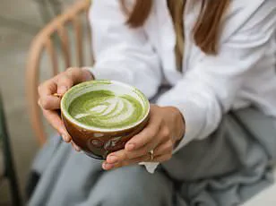 The Rise of Fermented Foods and the Science Behind Gut Health: A Cultural and Scientific Shift in Public Well-Being