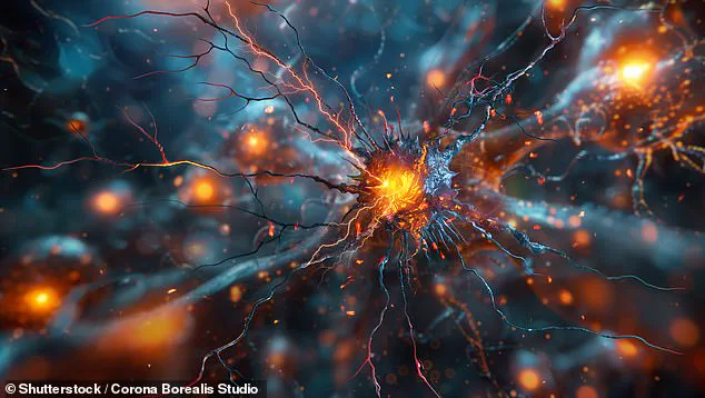 The Sixth Sense: Challenging the Traditional Understanding of Human Perception