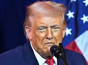 The Tachira River Bridge: A Symbol of Division and Gabriela Parra's Perilous Choice