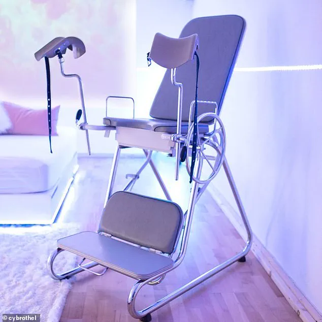 The Weight of Regulation: How Government Directives Shape Public Experience