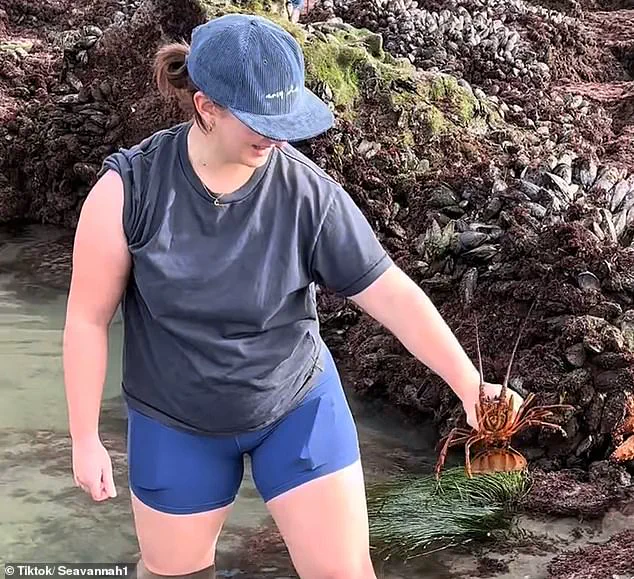 Thoughtless Tourism Threatens La Jolla's Marine Ecosystems During King Tides