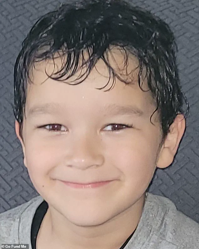 Tragedy and Legal Consequences: Community Confronts Dog Ownership Responsibilities After Fatal Attack on Child