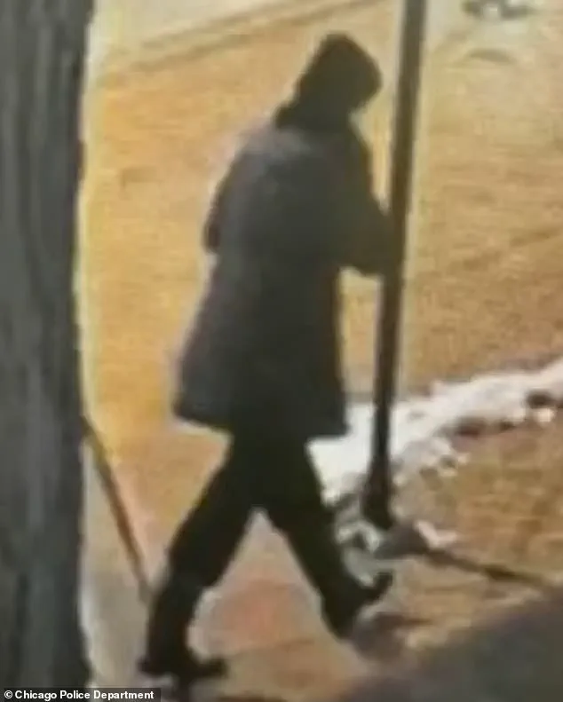 Tragedy in Lake Michigan: Search for Missing Special Education Teacher Ends in Recovery