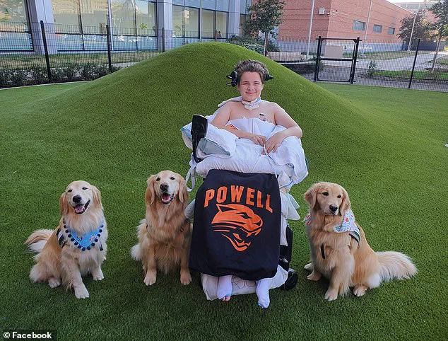 Tragedy Strikes Powell, Wyoming: Family Involved in Accident on August 1, 2024