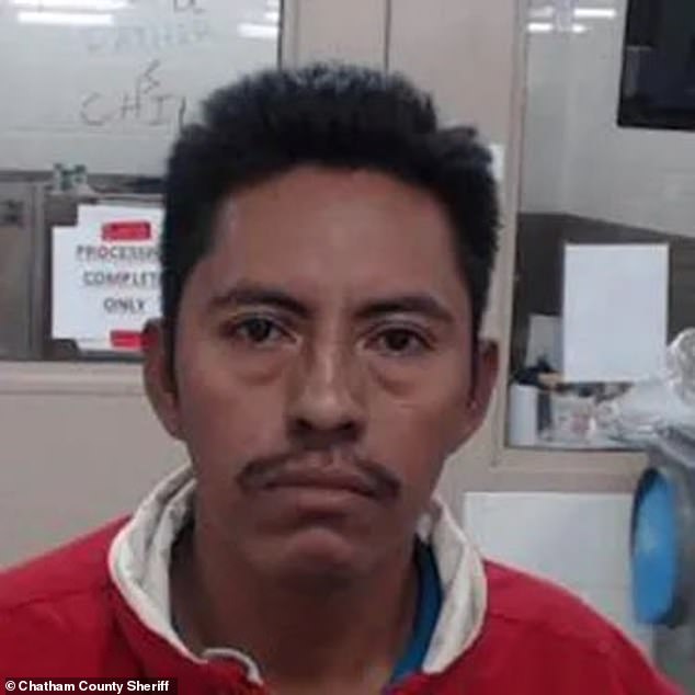 Tragic Collision Claims Georgia Teacher's Life as Undocumented Immigrant Fleeing ICE Sparks National Debate on Immigration Policy