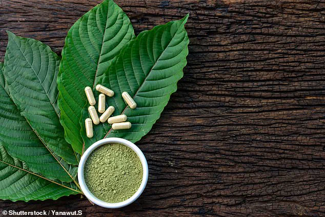 Tragic Death of Chess Grandmaster Daniel Naroditsky: Suicide or Accidental Overdose Under Investigation