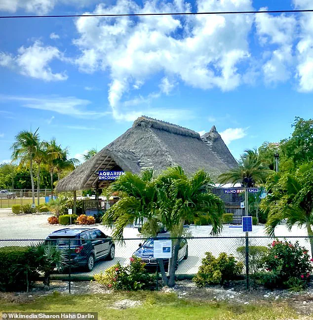 Two Men Charged with Burglary After Removing 55-Inch Tarpon from Florida Aquarium, Killing the Fish