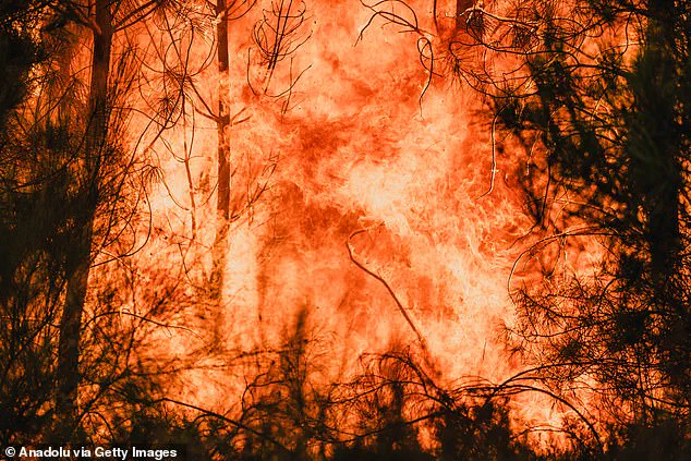 UK's Record Heatwave Sparks Debate Over Climate Regulations and Public Health Measures
