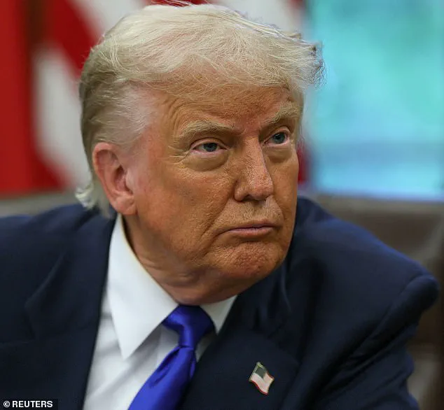 Ukrainian Fraud Suspect Claims Trump Could Have Prevented Crime by Addressing 'Babushkas' in Teleconference