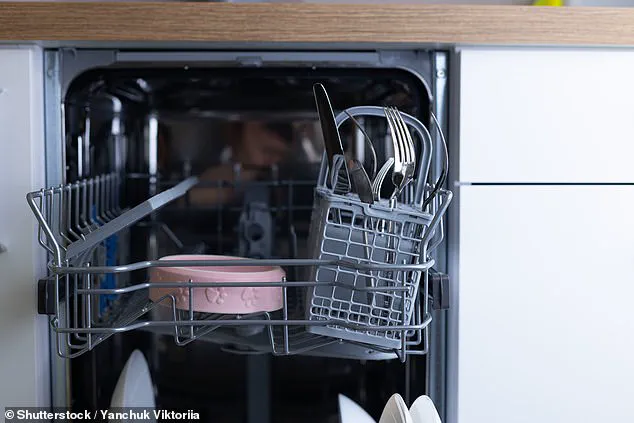 Unexpected Autumn Surge in Fruit Fly Infestations Stuns UK Homeowners