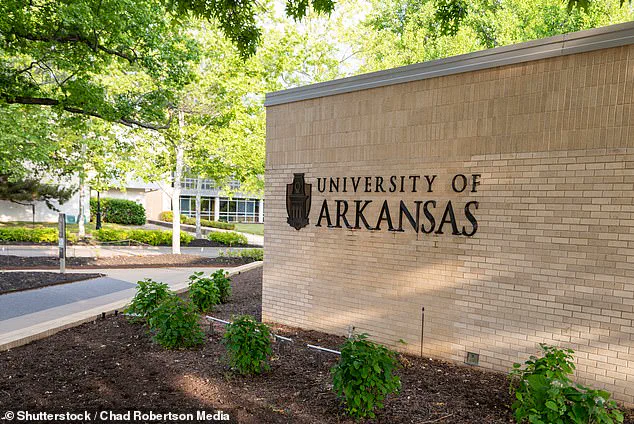 University of Arkansas Rescinds Job Offer to Emily Suski, Former Associate Dean at University of South Carolina’s Law School, Amid Controversy