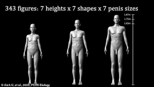 University of Western Australia Study Quantifies Penis Size's Interaction with Physical Traits in Human Attraction Research