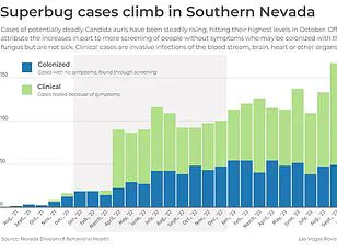 Unraveling the Mystery: A Teacher's Battle with Unexplained Fatigue and Health Concerns