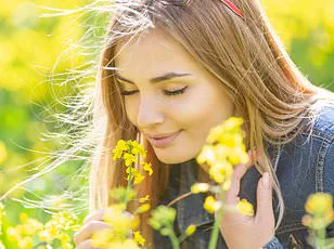 Urgent Need to Distinguish Brain Fog from Alzheimer's as Dementia Deaths Rise Sharply