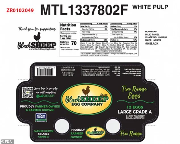 Urgent Recall of Eggs Linked to Salmonella Outbreak Sparks Public Health Concerns