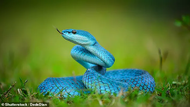 Urgent Warning: Zootopia 2's Gary De'Snake Sparks Global Pet Craze and Public Health Crisis