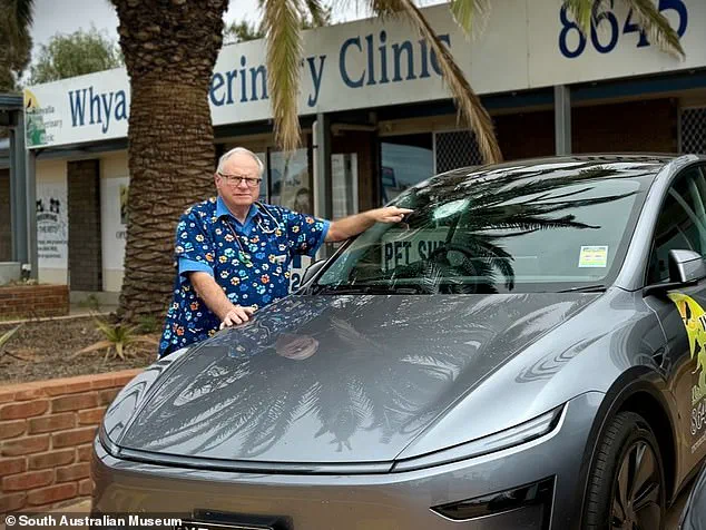 Veterinarian's Sudden Tesla Crash Shatters Windscreen
